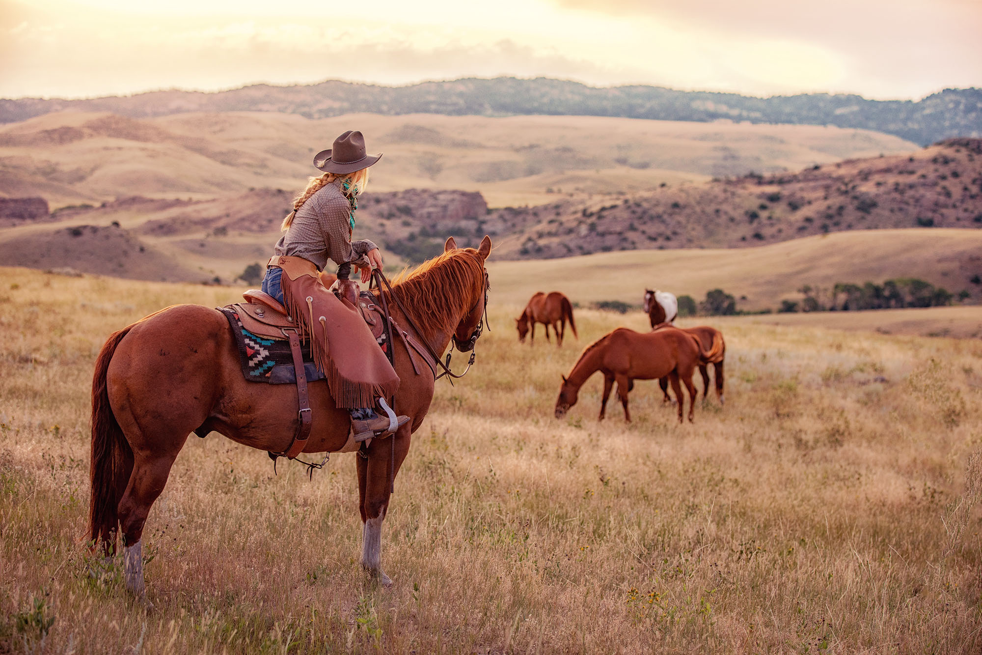 cowgirl watching over horses and cattle